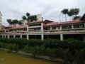Tn DSC 5882